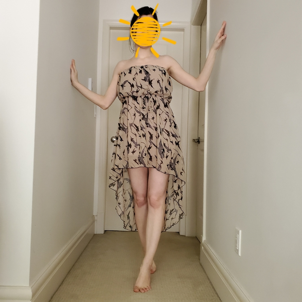 Hi-lo Swallow Print Dress